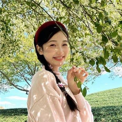 加油七条友